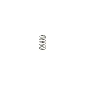 Ascaso Group Head Brew Valve Spring