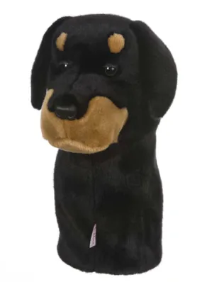 Daphne's headcover Rottweiler