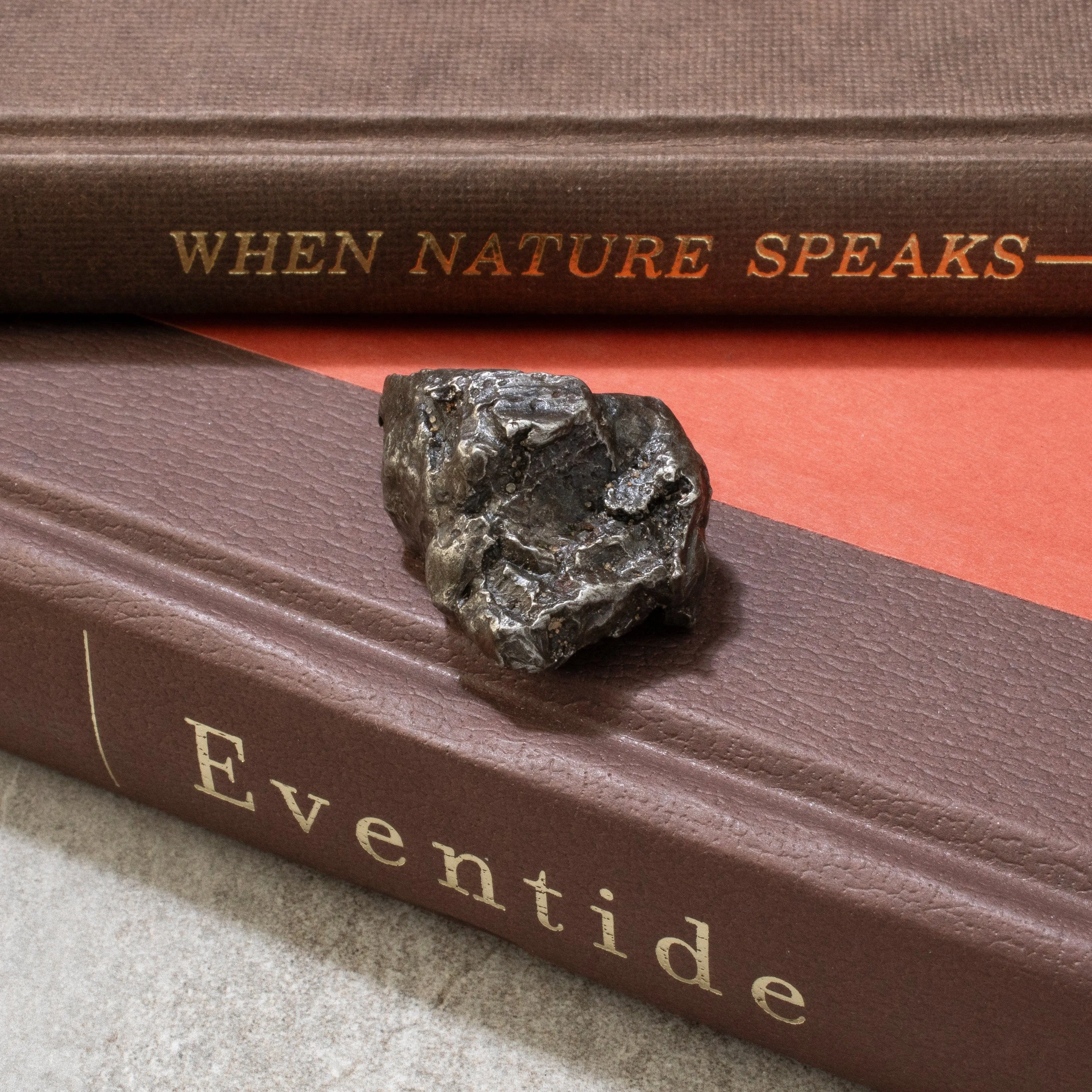 Natural Sikhote-Alin Meteorite from Russia- 1.5 / 57 grams