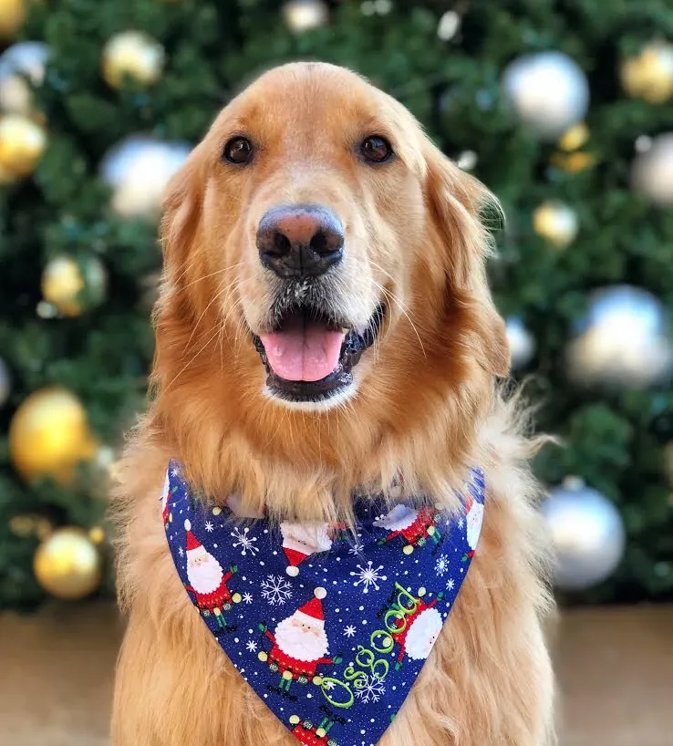 Santa Claus - Christmas Dog Bandanas Classic Tie on Handcrafted